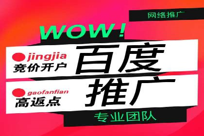 解析某某SEM服务公司的广告投放策略与效果评估