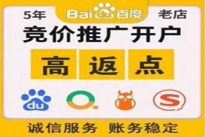 探索百度SEM竞价推广的奥秘：某行业巨头的成功经验